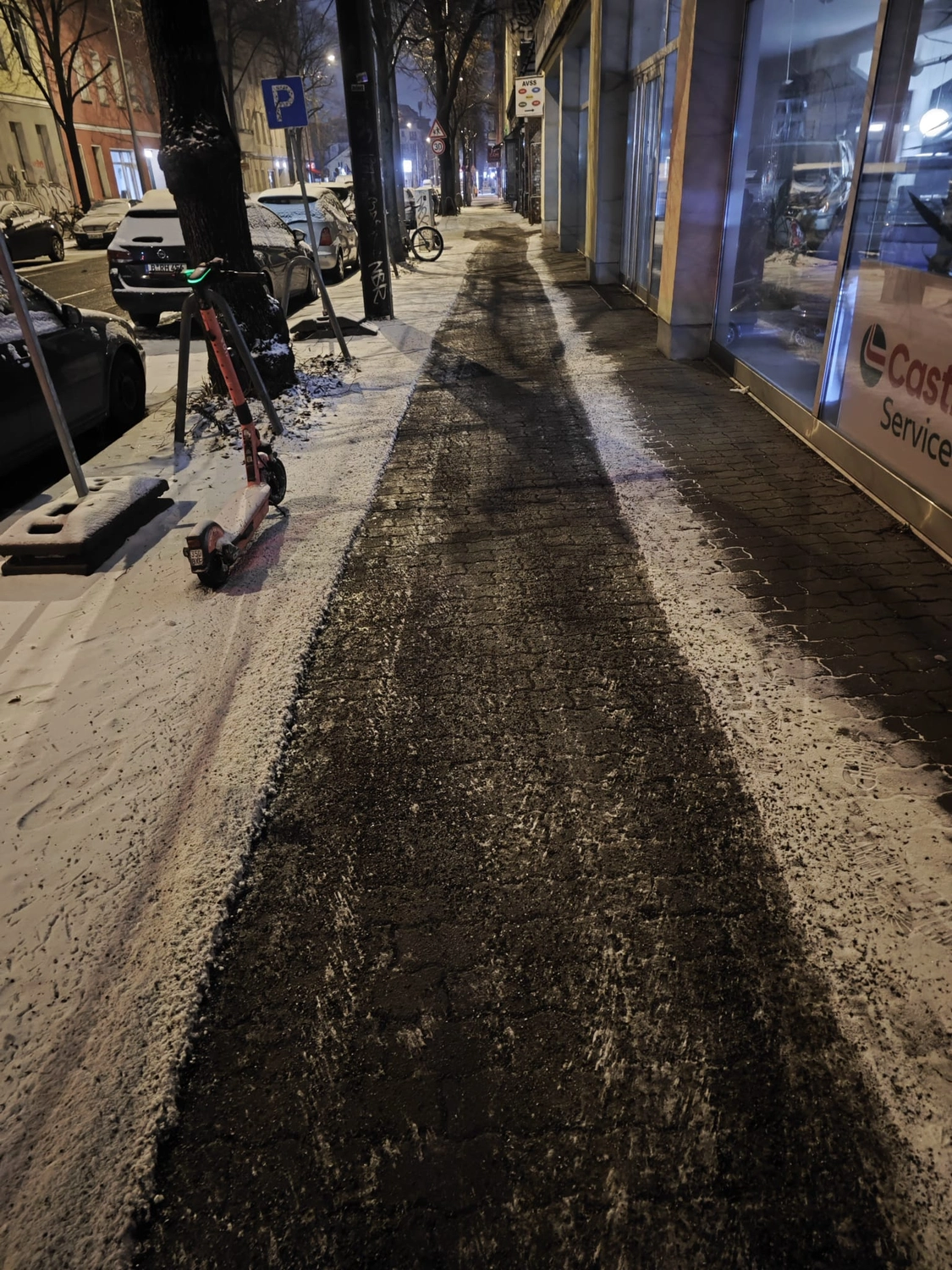 Gartenprojekt Berlin – Berlin Grün & Schnee
