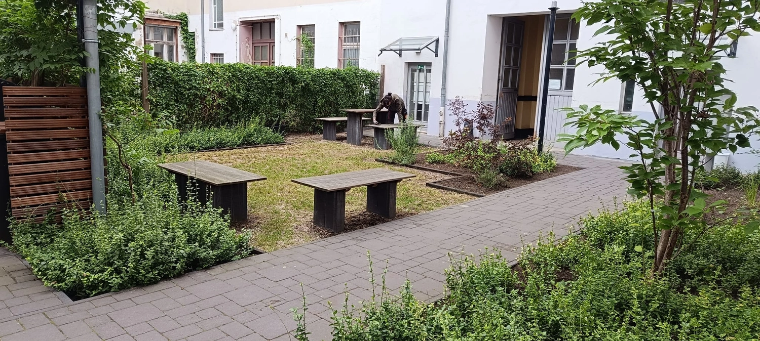 Gartenprojekt Berlin – Berlin Grün & Schnee
