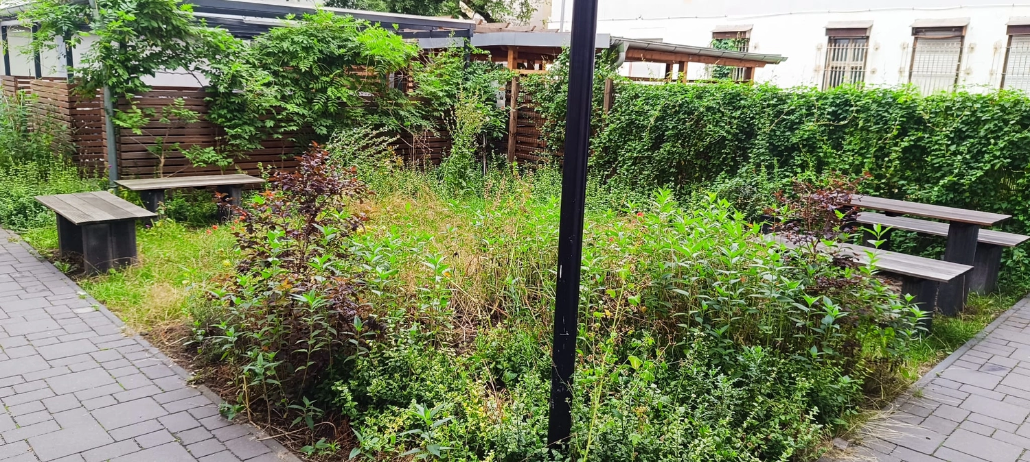 Gartenprojekt Berlin – Berlin Grün & Schnee