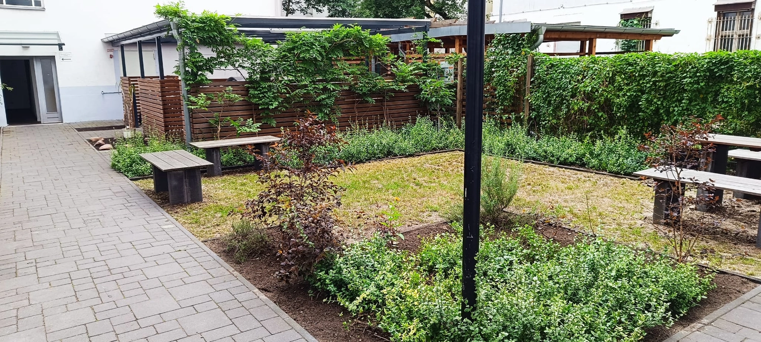 Gartenprojekt Berlin – Berlin Grün & Schnee