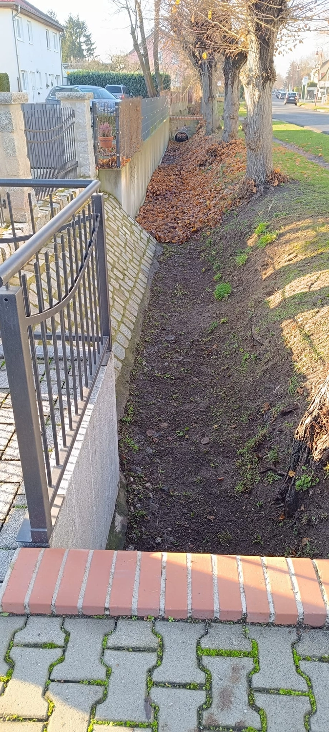 Gartenprojekt Berlin – Berlin Grün & Schnee