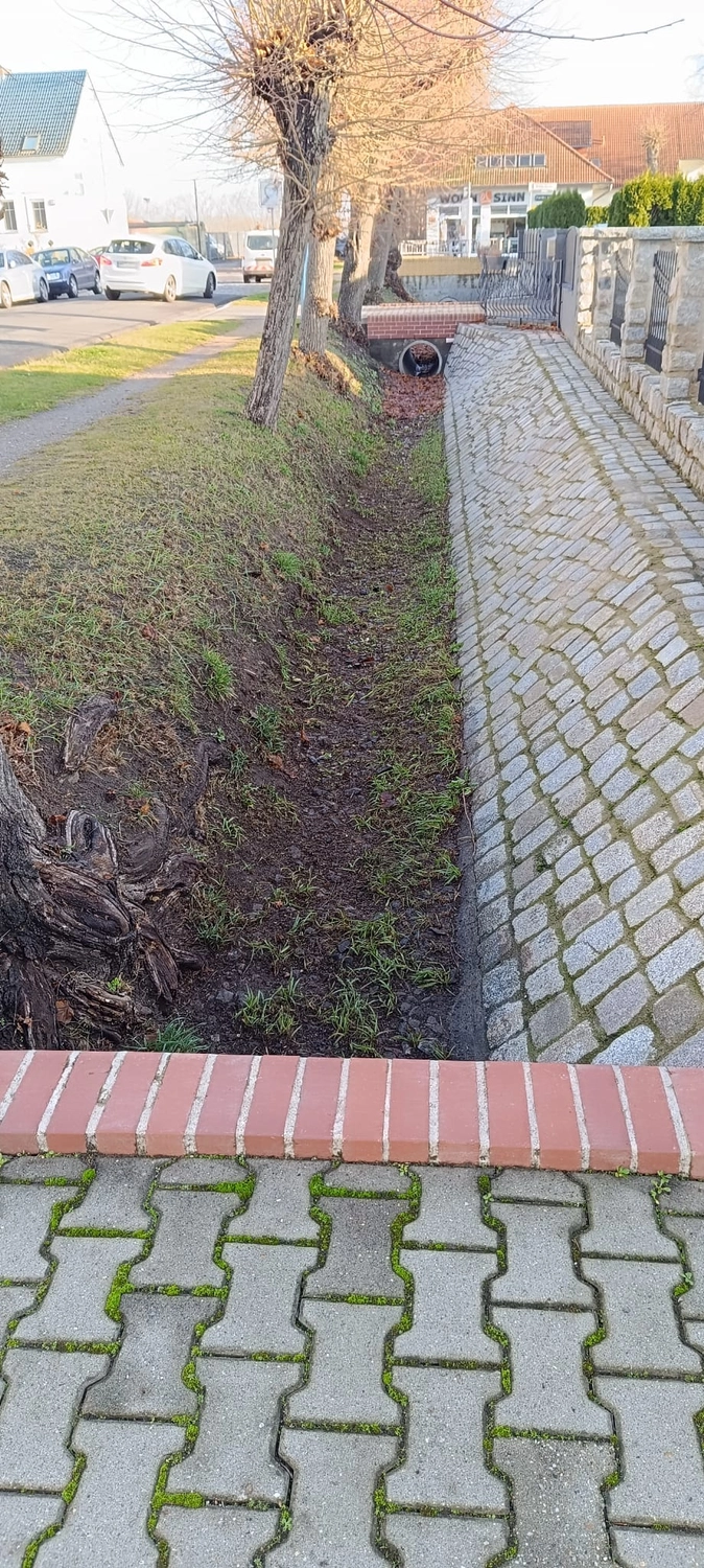 Gartenprojekt Berlin – Berlin Grün & Schnee