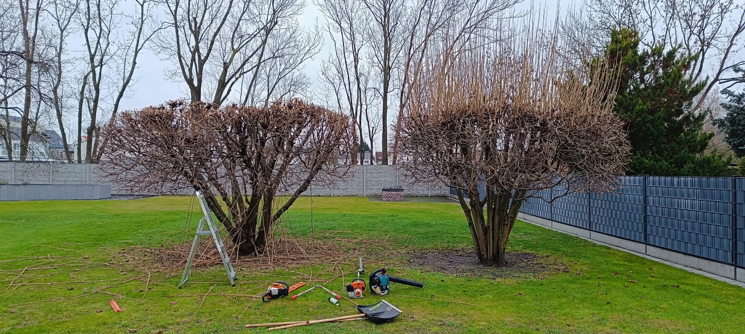 Gartenprojekt Berlin – Berlin Grün & Schnee