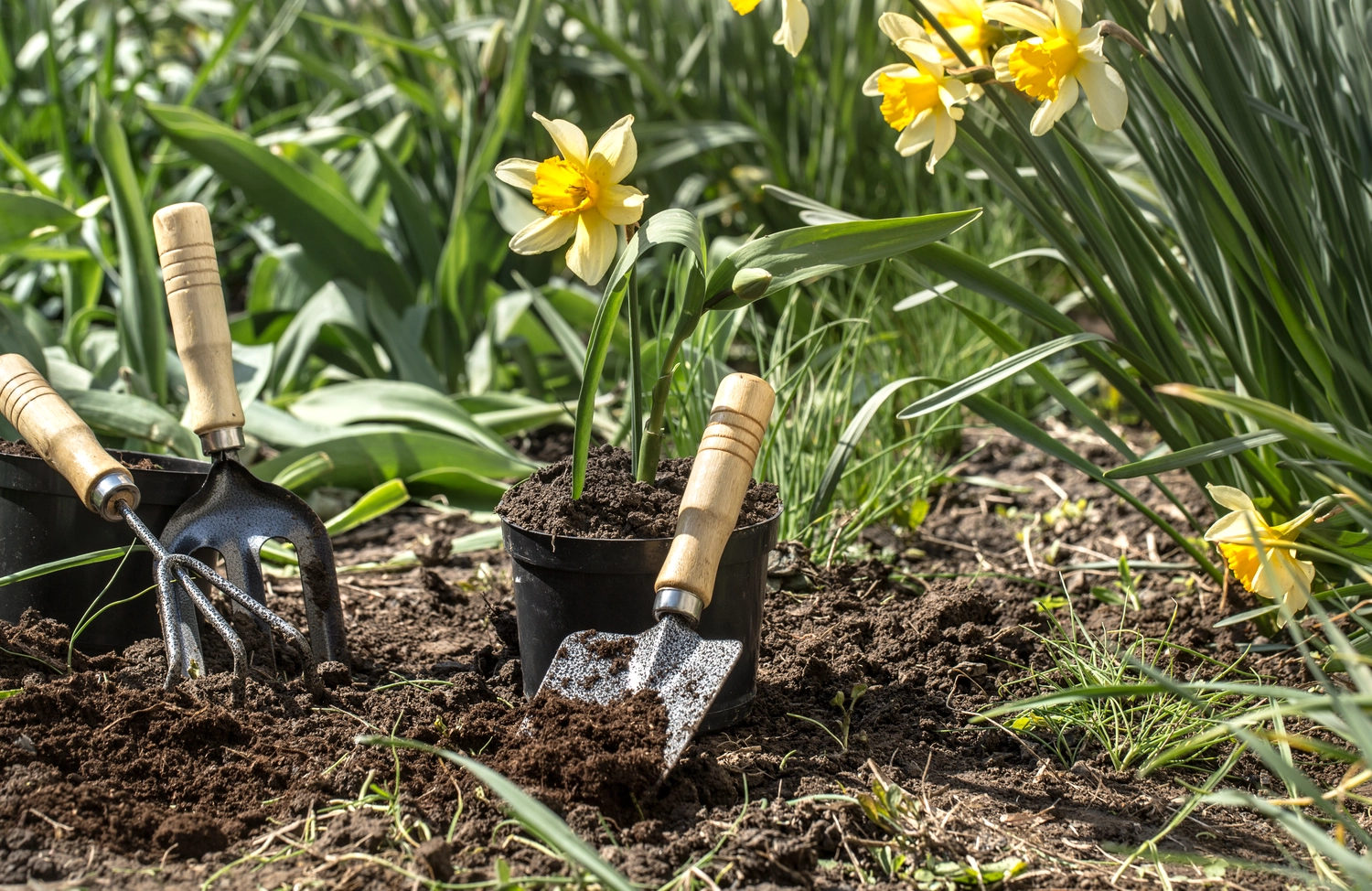 Gartenarbeit: Blumen pflanzen mit Gartengeräten